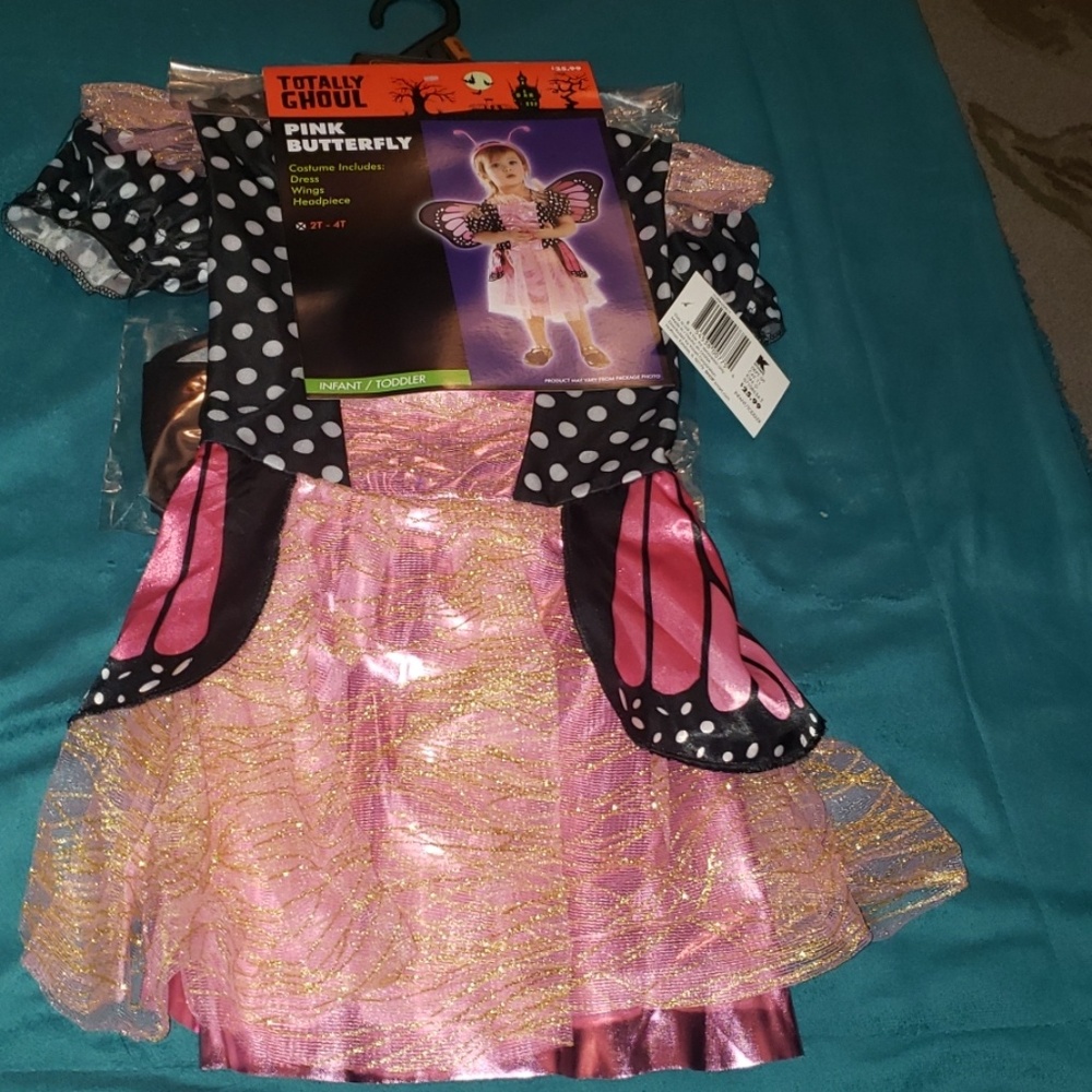 Pink Butterfly Halloween Costume